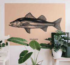 If you like videos like this, be sure to like and subscribe. Realistic Seabass Hand Draw Fish Wall Sticker Tenstickers