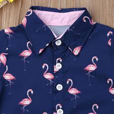 Buy Toddler Baby Boy Flamingo Short Sleeve Button Down Shirt Casual Shorts Set Summer Outfits 1 6 Years Clothes Online In Turkey B07rk2qtq5