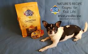 nature s recipe archives dog mom days