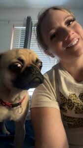 Pug escapes and runs wildly, help needed?