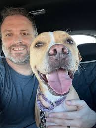 I love each and every one of these fosters, but they truly need to find  their happily ever after.