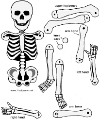 Free Halloween Skeleton Paper Cutout Skeleton Craft Halloween Crafts Cool Coloring Pages