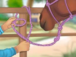 To tie into a knot, loosen knot and tie into knot following rope path. How To Tie Up A Horse 14 Steps With Pictures Wikihow