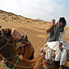 Incoorporated on the 27th september 2000, camel tours ltd has since established a strong reputation as a reliable transport service provider. Help With A Guest House Camel Safari Tour Company In Jaisalmer Rajasthan India