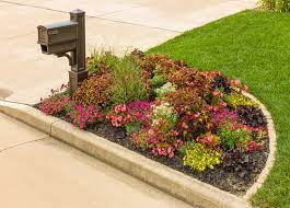 We did not find results for: How To Make A Flower Bed Proven Winners
