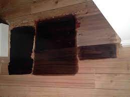 We will gladly assist with returns and exchanges of this product in accordance with our returns and exchanges policy. Black Japan Renovating A House In Melbourne