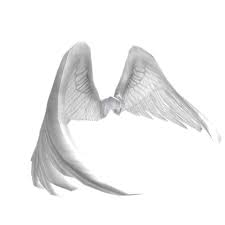 Black And White Wings Roblox Use Angel Wings And Thousands Of Other Assets To Build An Immersive Game Or Experience Select From A Wide Range Of Mode Angel Wings Images Roblox Cool Avatars