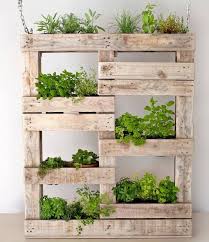 Jardin Vertical Palette Design Customise Culture Herbes Aromatiques Jardiniere En Palettes Palette Jardin Jardiniere Palette