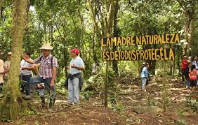 Cada una tiene alcalde propio, llamado alcalde menor, y una junta administradora local (jal). Invasores Dejan Sin Tierras Al Ipta De Alto De Piedra Panama America