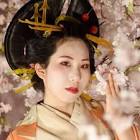 神月乙桜