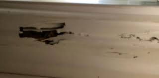 We specialise in carpet and textile cleaning (upholstery, mattresses, rugs, water damage etc) and pest control, however our passion lays within stain & odour. Brisbane Northside Pest Control And Termite Inspection Archives All Corners Carpet Cleaning Pest Control