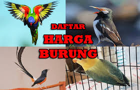 Apr 06, 2021 · download suara burung mp3 ⭐masteran pancingan terapi vareasi kicauan dan terlengkap dan mudah untuk di download secara gratis omkicau Daftar Harga Burung Kicauan Dan Burung Hias Terbaru 2021 Semua Jenis Kicaumania Net