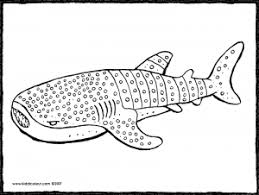 All whale shark coloring page pages printable with color click. Whale Shark Kiddicolour