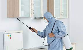 Get quotecall 0265 237 0953get directionswhatsapp 0265 237 0953message 0265 237 0953contact. Vazir Pest Control