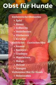 Welches Obst Durfen Hunde Essen Gesunde Fruchte Vs Giftige Obstsorten Obst Fur Hunde Hund Essen Hunde Ernahrung