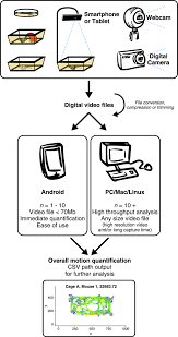 Small Animal Video Tracking For Activity And Path Analysis Using A Novel Open Source Multi Platform Application Animapp Scientific Reports
