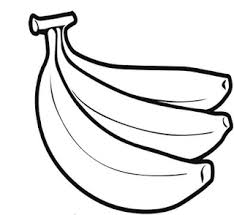 Tanaman ini tumbuh subur di daerah sub tropis, berkembang biak dengan cara bertunas dan banyak dikembang biakkan di daerah indonesia. 40 Trend Terbaru Gambar Sketsa Buah Pisang Tea And Lead
