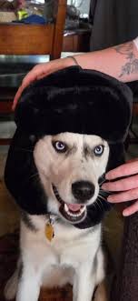 I'm new to this group and I would like to talk to an admin person. Please  DM me I have questions. Here's a picture of my wife and I.