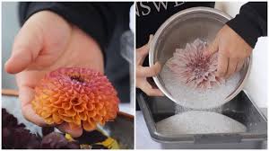 They are ideal to reuse throughout your home in places where you might be worried about excess moisture. Garden Answer Drying Flowers With Silica Gel Crystals A Fun Way To Display Them Facebook