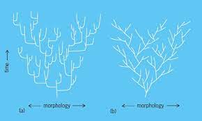 Speciation Accessscience From Mcgraw Hill Education