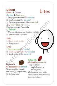 Reposted By Dr Veronica Lee Dnp Depew Buffalo Ny Us Microbiology Medical Laboratory Technician Medical Laboratory Science