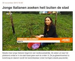 Image result for tv olandese