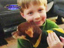 DDY's Late Show with David Letterman Fan Page