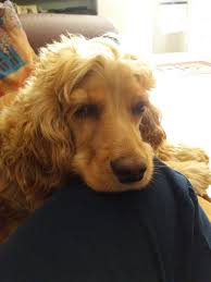 After A Hard Day I Deserve Some Rest