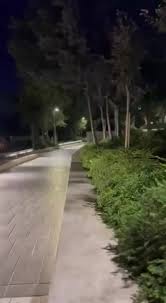 Bilel Amer-Moussa (@bilelmermoussa)