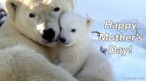 # drink # cheers # mom # mother # stress. Happy Mothers Day Gif With Animals