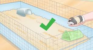 Guinea pigs are the happiest when you provide them with maximum space to live in. 3 Ways To Make A Guinea Pig Cage Wikihow
