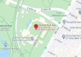 Central Park Zoo Plan Your Visit Revised Game & entertainment centers in manhattan.