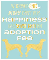 All animals come with an adoption contract which requires you to get the animal updated on rabies vaccination and requires you to get the animal fixed. Adoption Costs Animal Shelter Inc Of Sterling