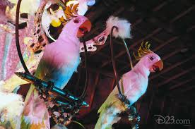 The Tiki Room Celebrates 50 Years D23 My collection is small compare to just about any other tiki fan out there, but. the tiki room celebrates 50 years d23