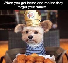 This Is Probably The Cutest Picture I Have Ever Seen Funny Animal Pictures Funny Pictures Animal Memes