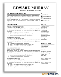 These one pagers aim to replace the traditional paper format with a more impressive digital presentation. Professional Resume Template Edward Murray Bestresumes Info