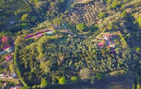 Costa coffee shops near bath. For Sale Costa Rica Legacy Coffee Farm Heredia Santa Barbara Heredia Heredia Costa Rica 40401 13 Beds 10 Full Baths 1 Half Bath Price Available Upon Request