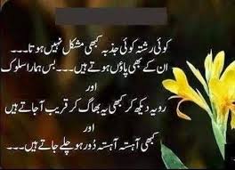 Pin By Shaheen Perwaz On My Collection Of Urdu Qoutes Wisdom Thoughts Expensive Quotes Quotes