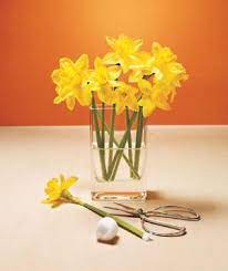 Pin On Diy And Crafts