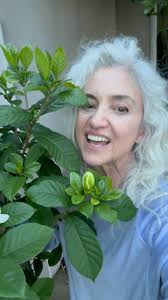 🦋 Y O L A N D A Hankins