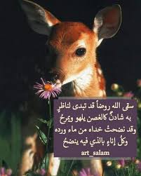 سقى الله روضا قد تبدى لناظر به شادن كالغصن يلهو ويمرح وقد نضحت خداه من ماء ورده وكل إناء بالذي فيه ينضح شادن ولد الظبية إ Arabic Typing