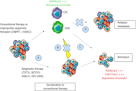 colon cancer stemness as a reversible epigenetic state