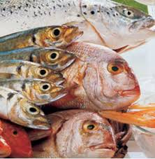 Ikan bandeng isi tanpa tulang makanan enak dan sehat untuk keluarga!! 5 Ikan Laut Ini Kaya Kalsium Dan Vitamin D