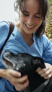 388 Welcome Back Pat Stock Videos, Footage, & 4K Video Clips