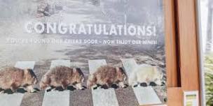 Meet a Wombat with a Wombat Crossing Vineyard Wine Tasting