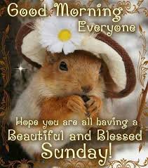 You can sleep till noon and not feel sorry about it at all. 100 Happy Weekend Quotes And Sayings With Images