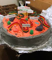 We did not find results for: Animal Cell Cake The Modern Teacher