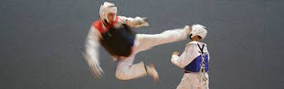 Wer die nächste farbe, also die nächste stufe erreichen möchte, muss dafür eine prüfung absolvieren. Gurtel Und Graduierung Taekwondo Kobras Magdeburgtaekwondo Kobras Magdeburg
