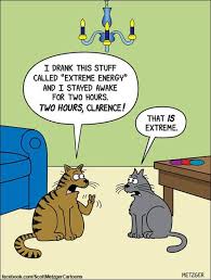 Hilarious Animal Cartoons By Scott Metzger Pleated Jeans Cat Jokes Cartoon Jokes Funny Animal Pictures