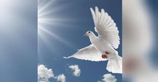 Hazel Marie Buck Obituary